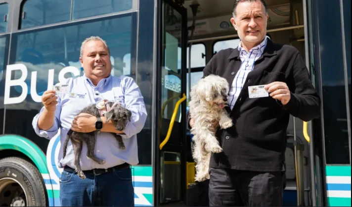 Más de 2,000 mascotas registradas en el sistema Qrobus: una iniciativa que promueve la inclusión y bienestar animal