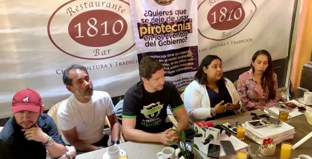 Propuesta de Ley Diana: Un paso hacia la prohibición de la pirotecnia en actos oficiales