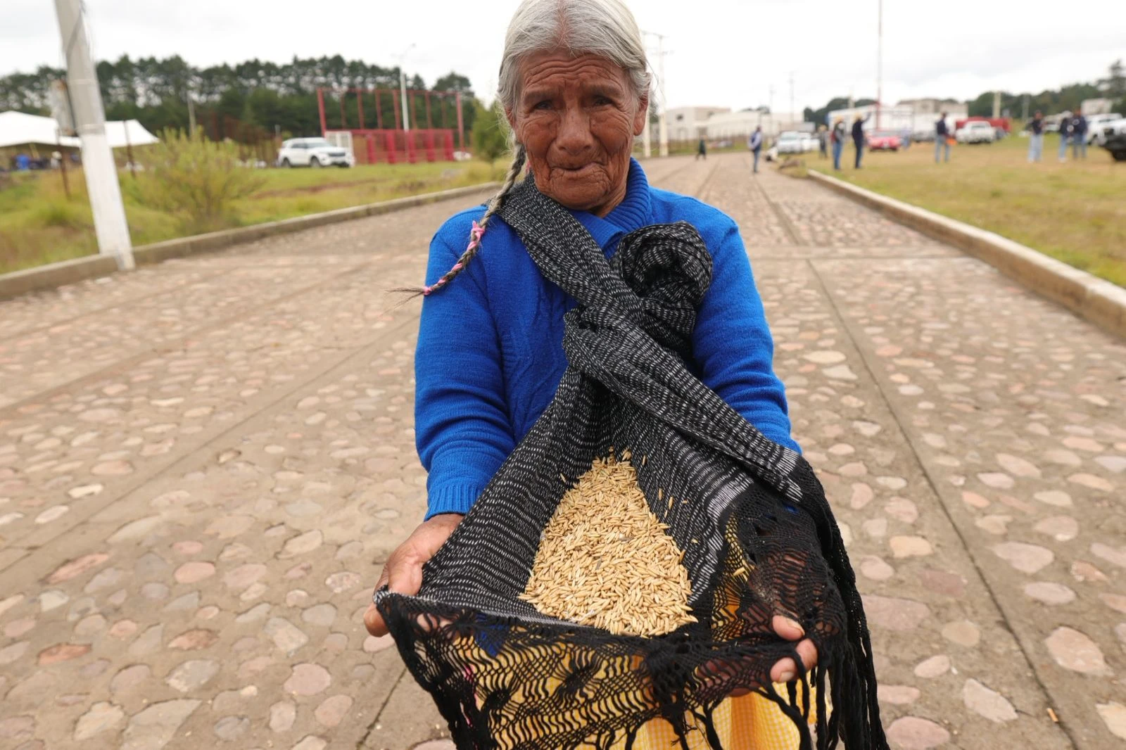 Fortalecimiento del Campo Amealcense: Entrega de Semillas Forrajeras por parte de SEDEA