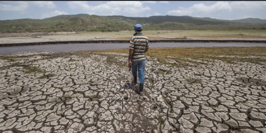 El impacto del fenómeno El Niño en la inseguridad alimentaria global