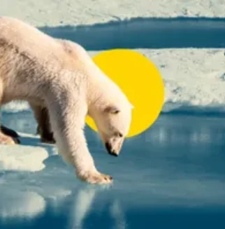 El Cambio Climático y su Impacto en la Biodiversidad: Un Llamado de Atención Global