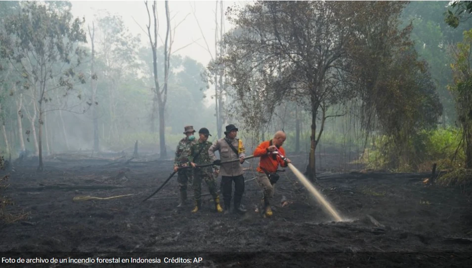 El Impacto del Fenómeno El Niño: Proyección de 451,000 Muertes Adicionales por Calor en el Mundo