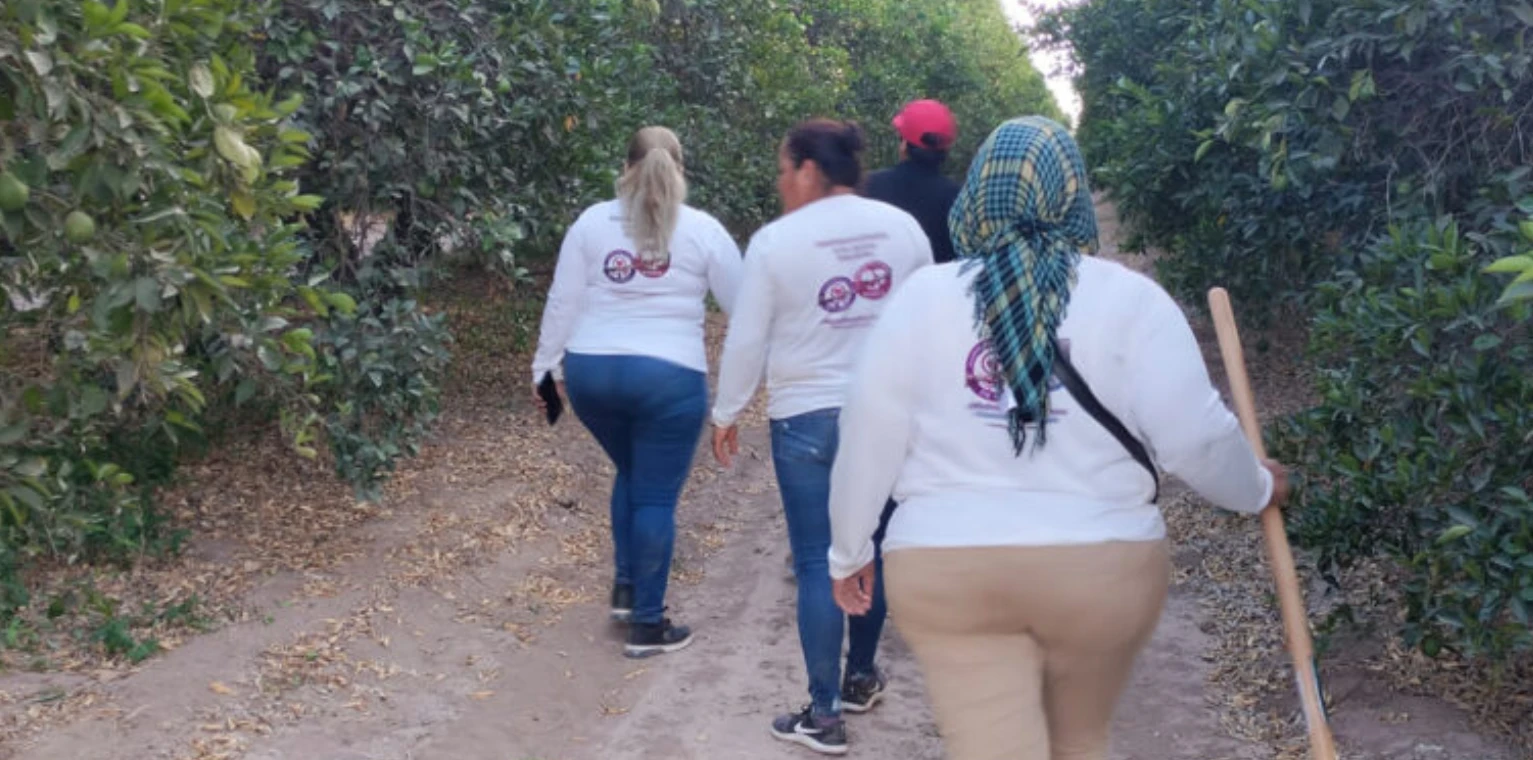 La ONU Exige Protección para Mujeres Buscadoras en México