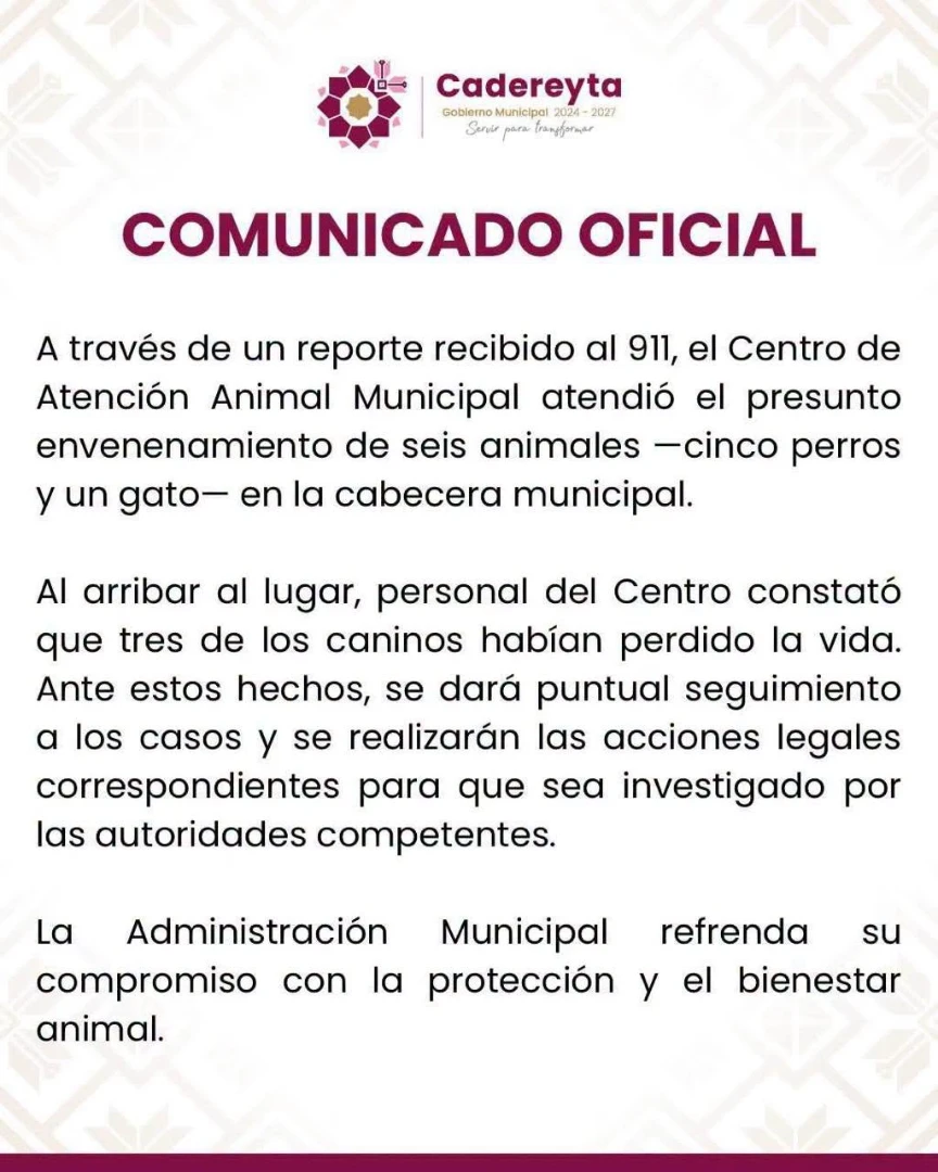 Cadereyta Investiga el Presunto Envenenamiento de Animales