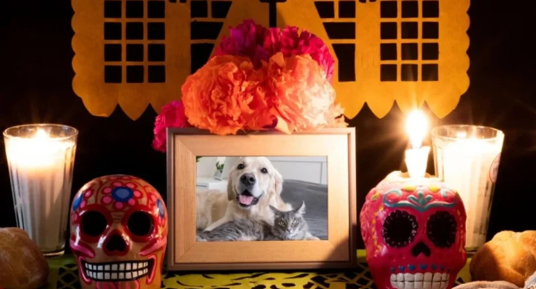 Convocan a Recordar a Mascotas Fallecidas en Ofrenda Especial
