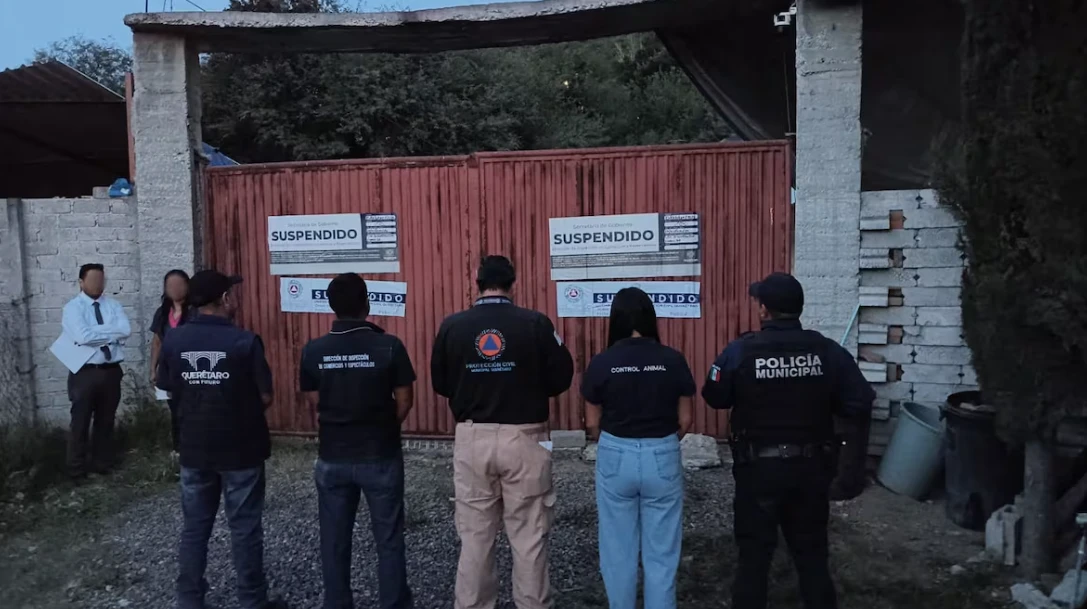 Suspensión de Actividades en Pensión para Mascotas en Querétaro por Irregularidades