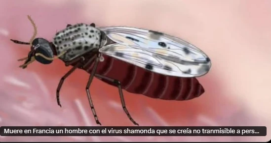 Muere en Francia un hombre infectado por el virus Shamonda, considerado no transmisible entre humanos
