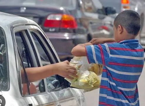 Aumento del Trabajo Infantil en Querétaro: Un Problema en Crecimiento